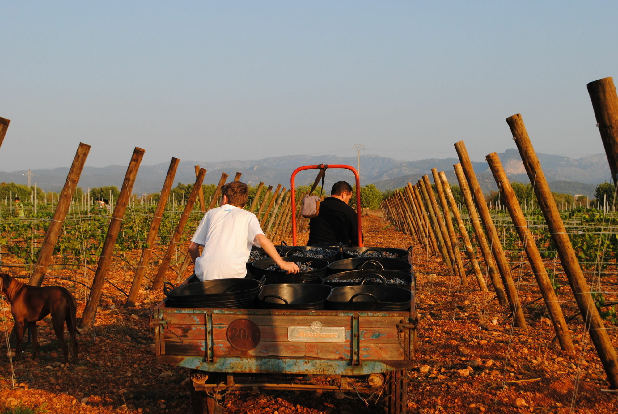 Weingut & Landhotel Can Davero Binissalem Exterior photo